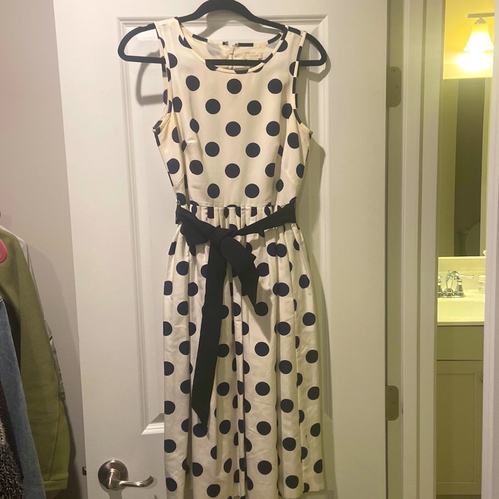 J. Crew dress
